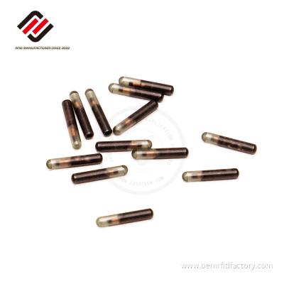 Iso15693 Glass Rfid Tube Tag